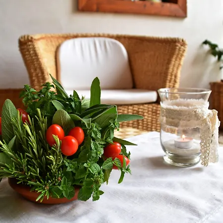 Casa de hóspedes Valnascosta