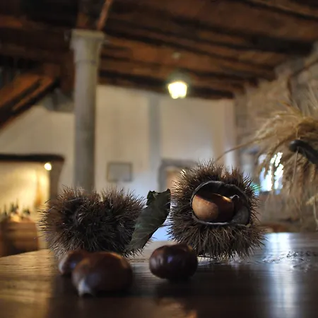 Casa de hóspedes Valnascosta 3*